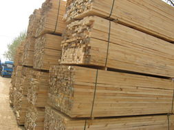 国行木业铁杉方木,铁杉方木图片,供应铁杉方木,铁杉方木价格国行木业